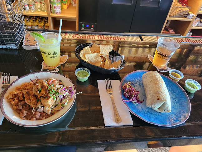 Opinii despre Chihuahua Cerveza Taproom în Newport Beach - Hospitality and gastronomy