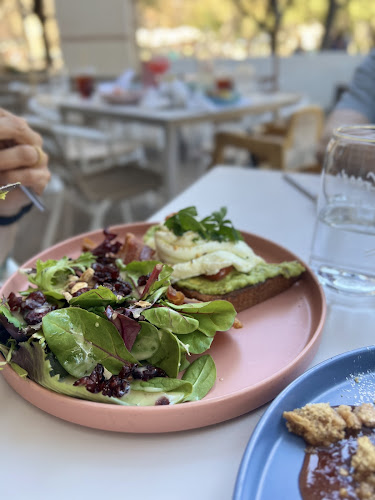 Box St. All Day Brunch - Hemisfair - San Antonio