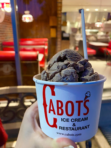 Comentarii opinii despre Cabot's