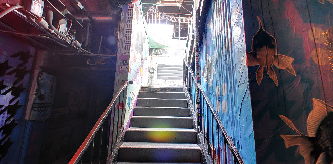 Vin de Syrah - San Diego