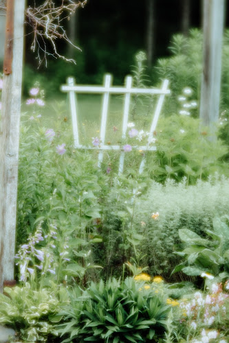 Dream Cloud Coffee Roasters Open Times