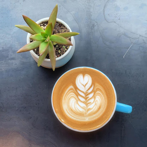 Canary Coffee House - Houston