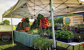 The Market At White River State Park