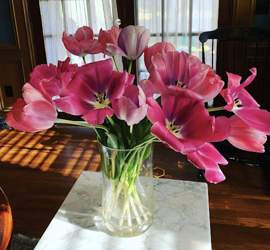 Refarm Atlanta - Hospitality and gastronomy