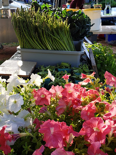 Forest Farmer's Market LLC - Lynchburg