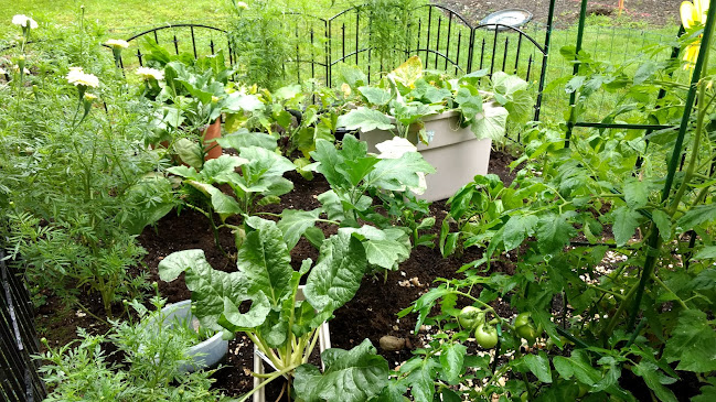 M.A.Farm - Hospitality and gastronomy