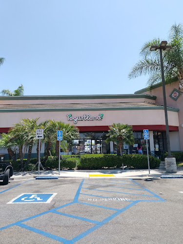 Yogurtland Long Beach - Dallas