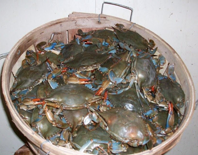 Crab Shack - Trenton