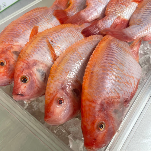 El Marlin Seafood Market - Pico Rivera