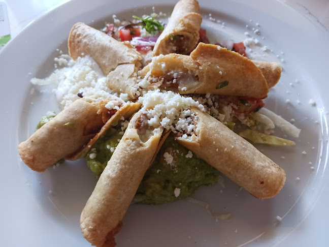 Los Agaves - Hospitality and gastronomy