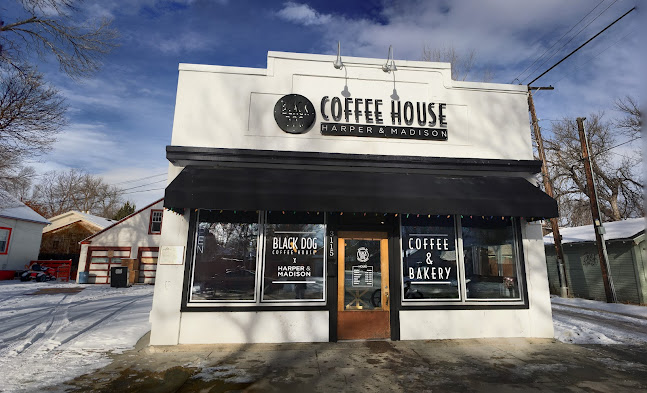 Black Dog Coffee House - Hospitality and gastronomy