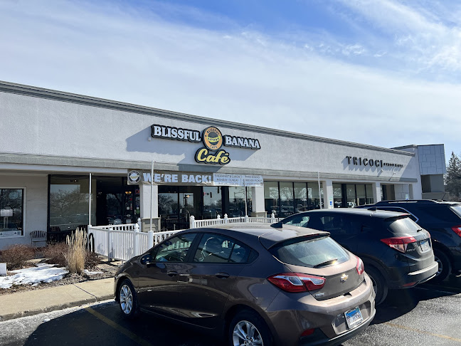 Blissful Banana Cafe - Hospitality and gastronomy