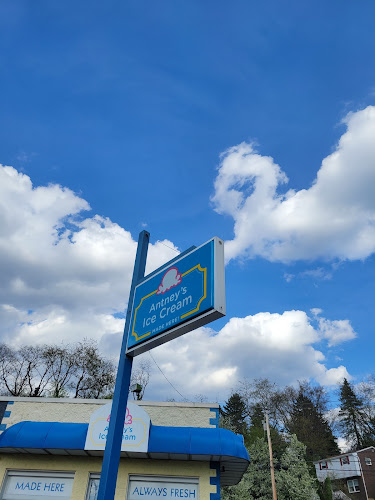 Antney's Ice Cream - Hospitality and gastronomy