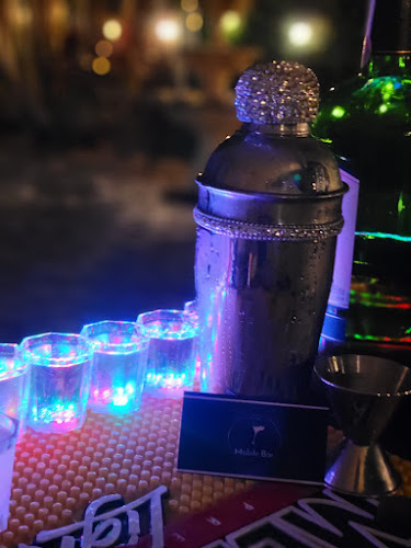 Mobile Bar Miami - Hospitality and gastronomy