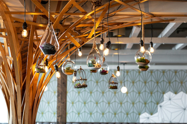 Comentarii opinii despre Blue Ocean / Harumama