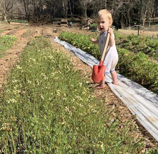 2264 Heritage Dr NE, Atlanta, GA 30345, United States