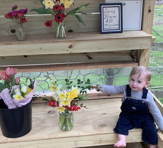 Comentarii opinii despre Refarm Atlanta