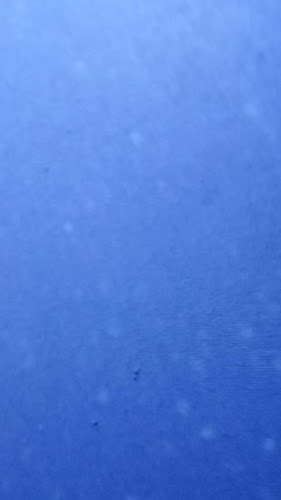 2532 W 51st St, Chicago, IL 60632, United States