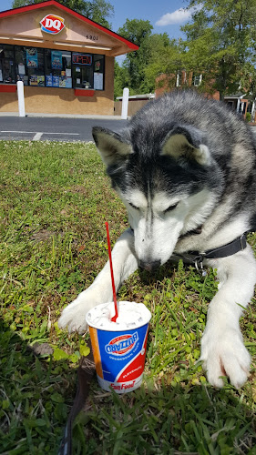 Dairy Queen (Treat) - Hospitality and gastronomy