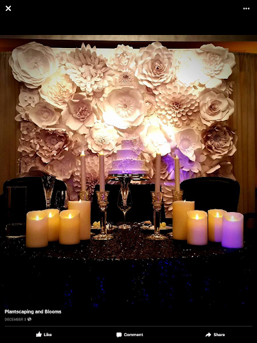 Papers to Petals - Hospitality and gastronomy