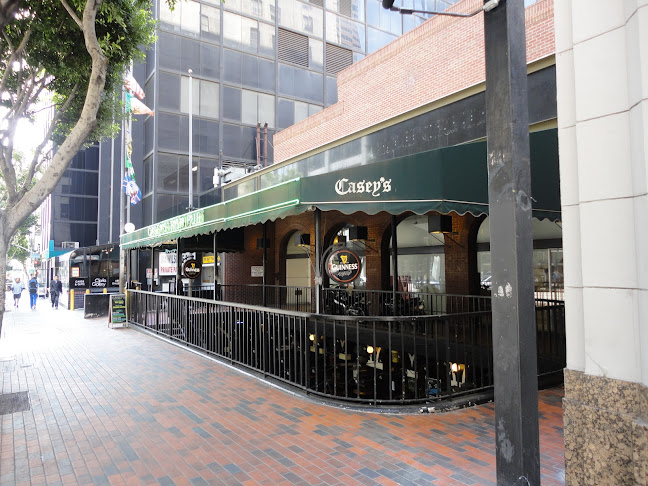 Casey's Irish Pub - Hospitality and gastronomy