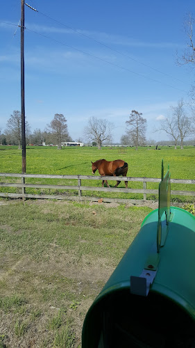 Pete Hymel Catering - Hospitality and gastronomy