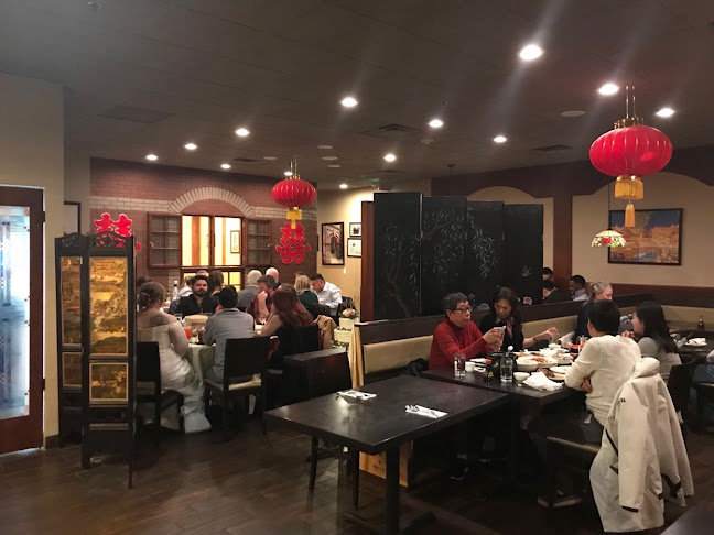 Shanghai Kitchen - Hospitality and gastronomy