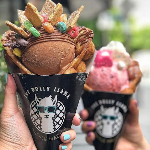 The Dolly Llama - Hospitality and gastronomy