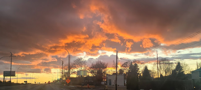 Blissful Blends - Hospitality and gastronomy