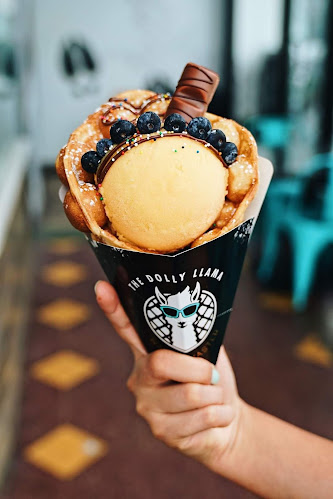 The Dolly Llama - Jacksonville