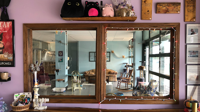 Pawsitivitea CNY Cafe & Cat Lounge