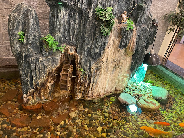 Comentarii opinii despre World Buffet