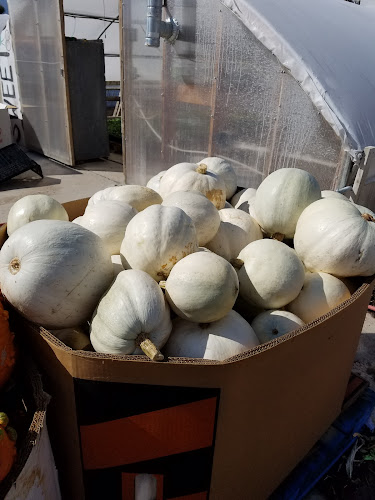 762 12300 S, Draper, UT 84020, United States