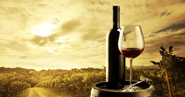 Opinii despre Sane Wine and Spirits în Washington - Hospitality and gastronomy