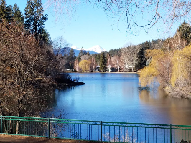 Comentarii opinii despre Bellatazza