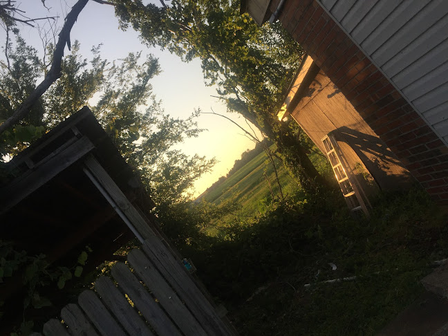 Opinii despre Sharps în Jackson - Hospitality and gastronomy