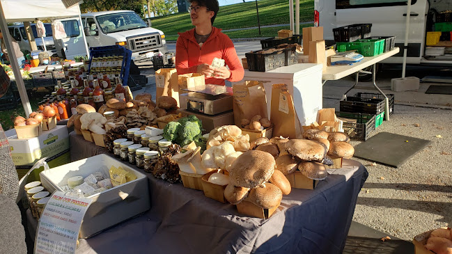 Opinii despre South Shore Farmers Market în Milwaukee - Hospitality and gastronomy