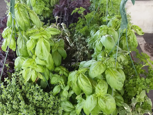 Comentarii opinii despre Sanfelippo's City Center Market