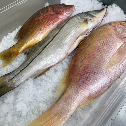 Comentarii opinii despre El Marlin Seafood Market