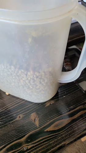 Opinii despre caffe d'bolla în Salt Lake City - Hospitality and gastronomy