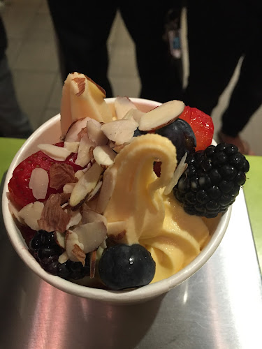 Froyola Premium Frozen Yogurt - Redwood City