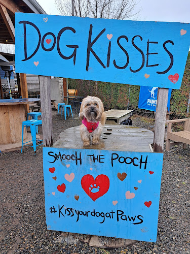 Paws For A Beer - Hospitality and gastronomy