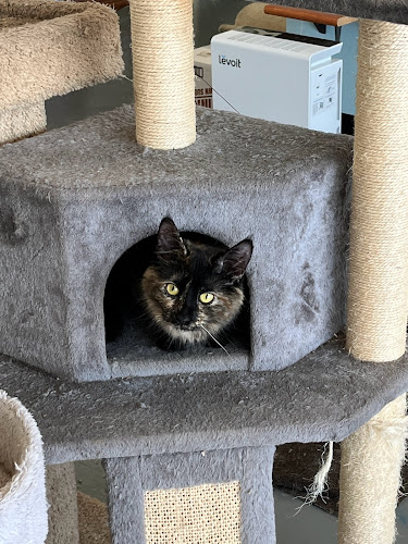 2100 Park St, Syracuse, NY 13208, United States