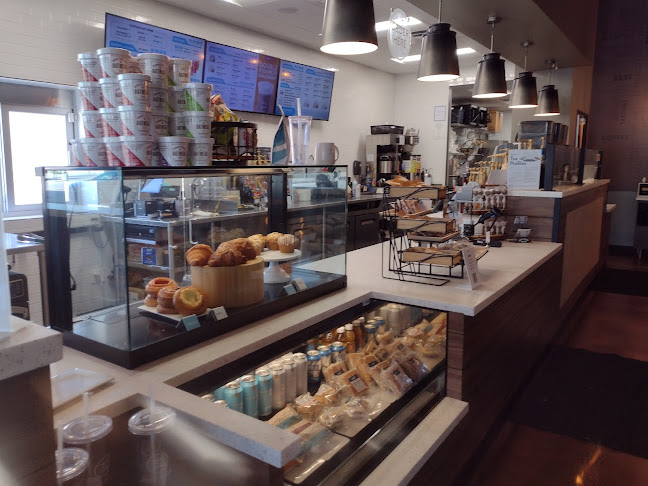 Ziggi's Coffee - Hospitality and gastronomy