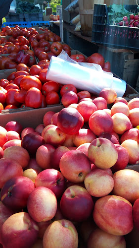 160-172 W Emerson St, Melrose, MA 02176