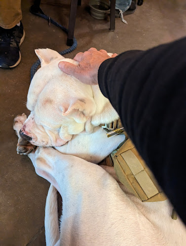 12125 N Oracle Rd, Oro Valley, AZ 85737, United States