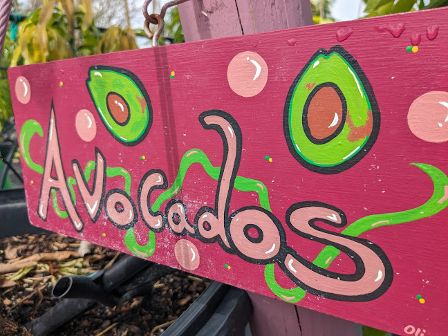 Comentarii opinii despre Pine Island Tropical Fruit Market