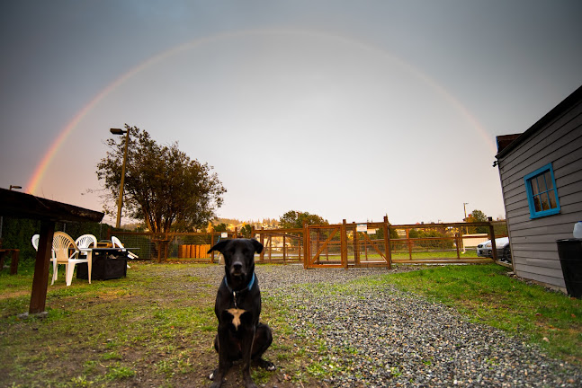 Paws For A Beer - Bellingham