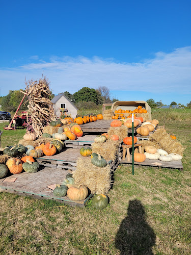 Leroux fresh Produce - Fond du Lac
