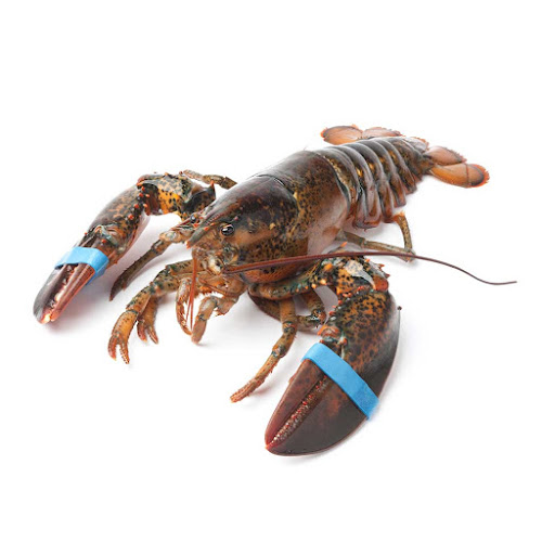 Opinii despre Lady Catherine Lobster în Portland - Hospitality and gastronomy